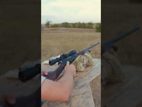 Henry H001 Lever Action (.22 Magnum) Review