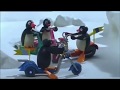 PINGU With Scooter
