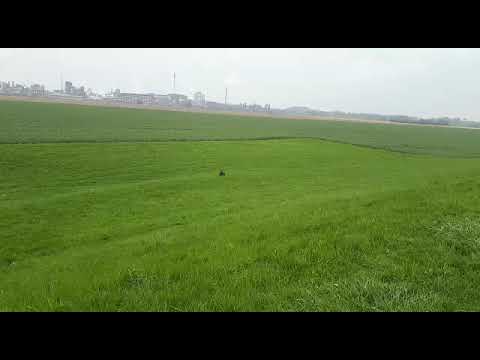 Nelly auf Pflegestelle 08.04.2023 (3) - New Home for Strays e. V.