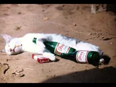 download lagu mp3 mp4 I Ll Quit Tomorrow, download lagu I Ll Quit Tomorrow gratis, unduh video klip I Ll Quit Tomorrow
