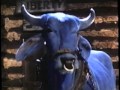 Opening To Gordy 1995 VHS