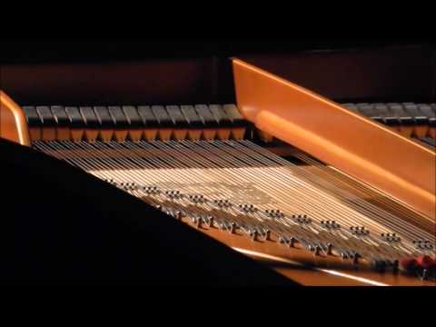 46^STAGIONE CONCERTISTICA CAMERINO 2016- Mariam Batsashvili