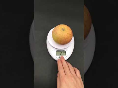 Portable Digital Scale LED Electronic Scales Postal Food Balance Measuring Weight Kitchen