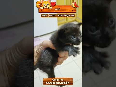 Vídeo de yoyô