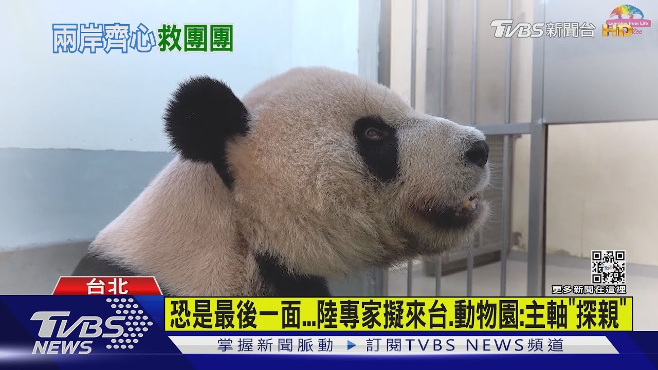 恐是最後一面...陸專家擬來台動物園:主軸「探親」