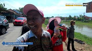 Download lagu JOKO TINGKIR VOC.IMUT FAJRI MEDI PUTRA BLOK PEKUWON DS.GUNUNGSARI mp3