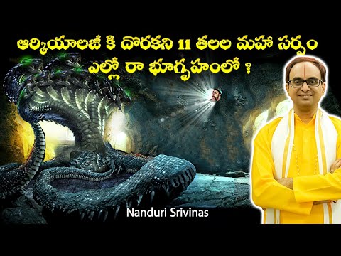 11 headed snake in Ellora caves | NanduriSrinivas