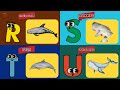ABC Whale Dolphin Song Learn Marine Mammals Alphabet For Kids UZR Kids ABC Song Abcd Kids