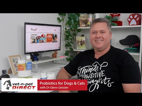 Probiotics for Dogs and Cats