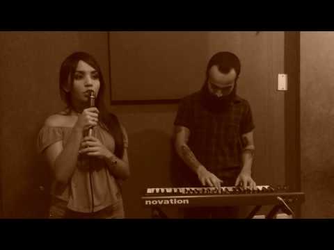 Shape of You - Ed Sheeran (cover)