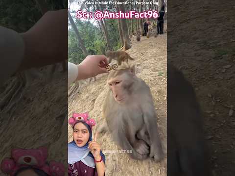 Yg mau Pakai Mahkota jadi Raja Sun GoKong👑 AnshuFact96