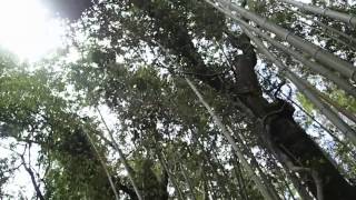 A day in Kyoto － 京都12小時