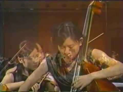 J. B. Vanhal - Double Bass Concerto in D Major | Emilie Kuo (Live 2001)