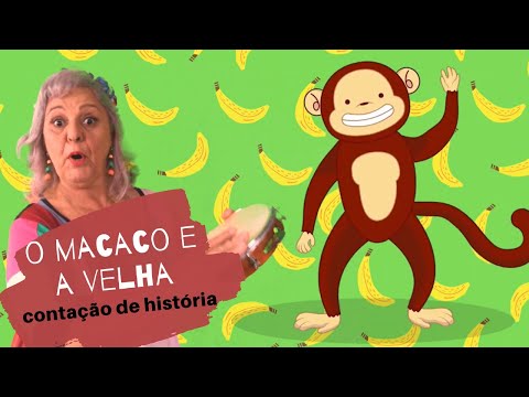 "O Macaco e a Velha" - história infantil contada por Cantos da Carochinha