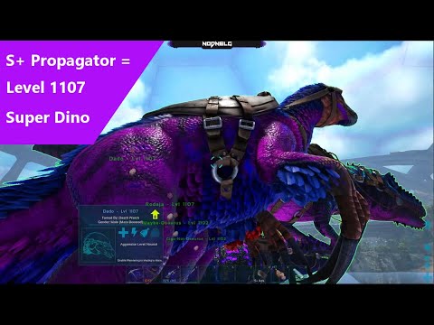 Breed Super Dinos with the S+ Propagator in a fraction of the time.