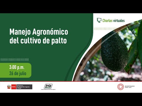, title : 'Manejo Agronómico del cultivo de palto'