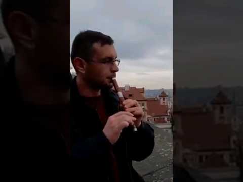 Aca Kulić, u sred Praga frula vlaška #folklore #serbia #czech #narodnamuzika #entertainment #music