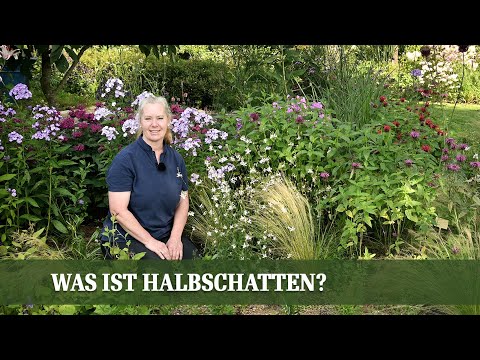 Sonne, Schatten, Halbschatten: Finde den idealen Platz für deine Pflanzen!