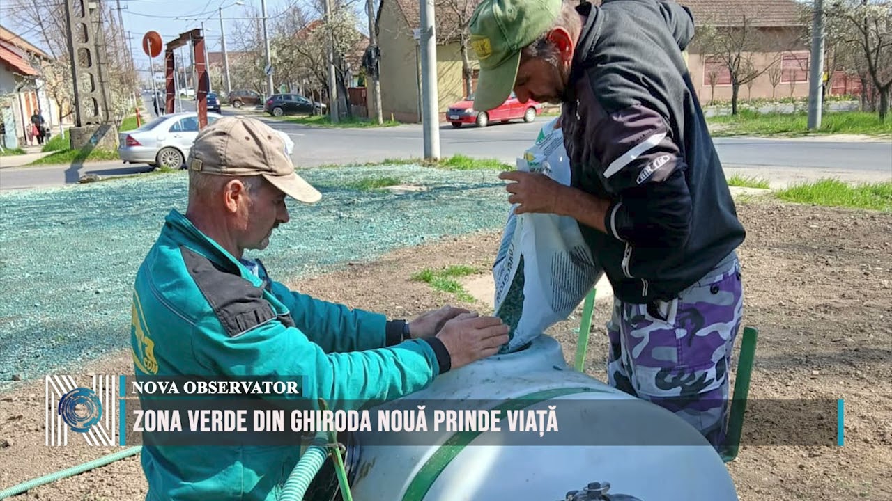 Zona verde din Ghiroda Nouă prinde viață