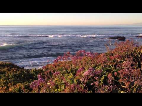 Waves and Violin, La Jolla Cove, With Khayam Poem