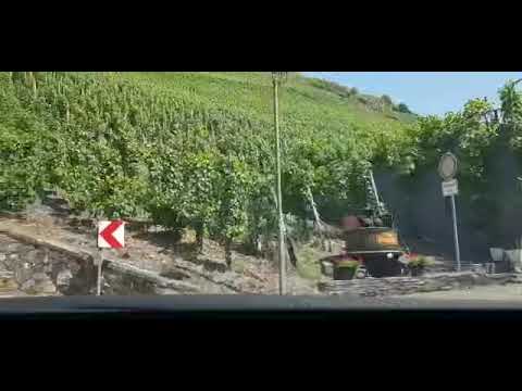 Eine Tour durch Graach