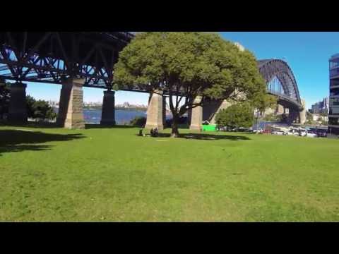 Bradfield Park, Milsons Point - Dogexplorer
