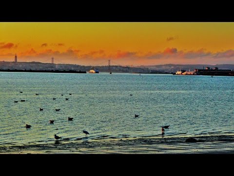 Gaia vs. ATB - Aisha's Ecstasy @Paul Gabriel Mashup Bootleg