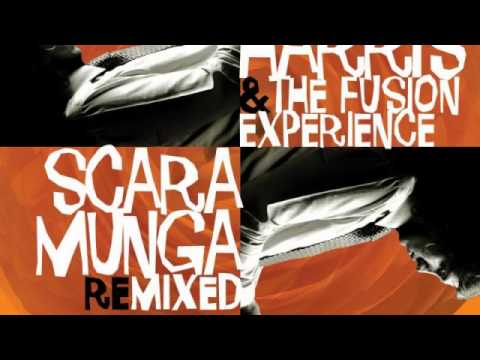 04 Ray Harris & The Fusion Experience - Scaramunga (Tunefunk rmx) [Record Kicks]