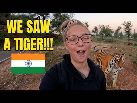 Ranthambore Safari Was INSANE (Tiger Sighting!)