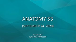 Anatomy 53 (September 15, 2020)