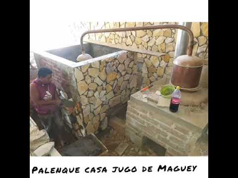 FÁBRICA DE MEZCAL #oaxaca