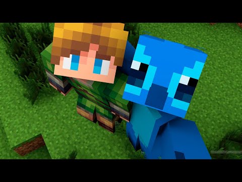 LINK Z & FLEX Z - PLACA PLACA (Z GANG)