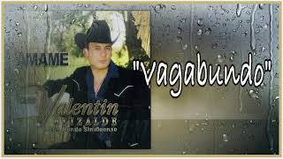 Vagabundo &quot;Valentin Elizalde&quot; Con Banda Sinaloense