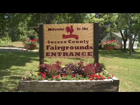 Sussex Harvest, Honey, Garlic Festival