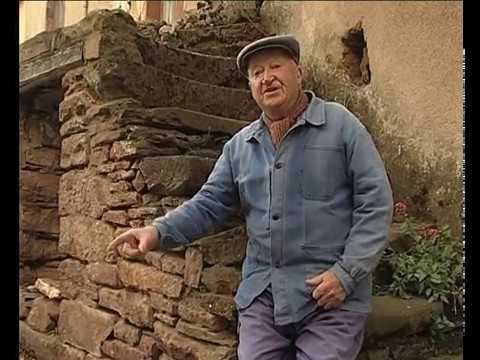 Lo tropèl d'abelhas