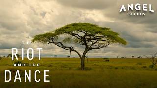 Download lagu The Amazing Relationship Between Acacia Trees and Wildlife | The Riot and the Dance mp3 Download lagu The Amazing Relationship Between Acacia Trees and Wildlife | The Riot and the Dance mp3