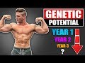 What Is Your Genetic “Natural” Muscle Building Potential? | Years 1 - 4