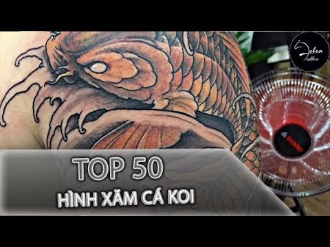 TOP 50 HÌNH XĂM CÁ KOI CHO NAM GIỚI