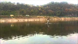 preview picture of video 'Barbel fly fishing in korea (20131102)'