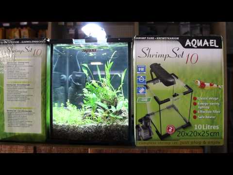 Aquael Shrimp Tank 10