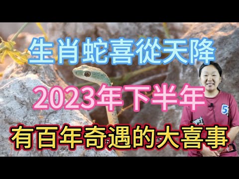 蛇2023偏財運