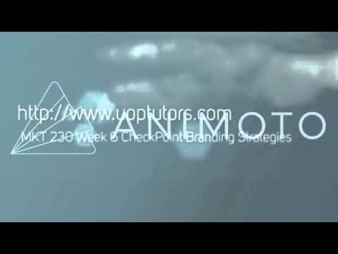 MKT 230 Week 6 CheckPoint Branding Strategies