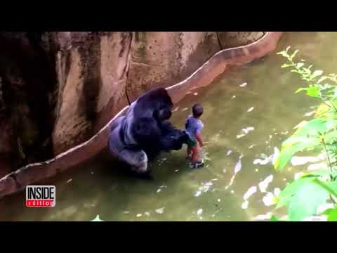 download lagu mp3 mp4 In The Arms Of The Angels Meme, download lagu In The Arms Of The Angels Meme gratis, unduh video klip In The Arms Of The Angels Meme