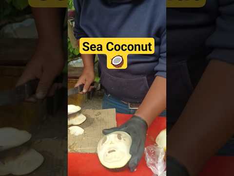 Asian Sea Coconut | #shorts #food #travel #streetfood