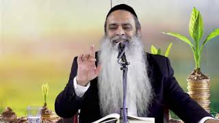 הרב רפאל זר| פרשת במדבר (יהוד) (הרב רפאל זר) - התמונה מוצגת ישירות מתוך אתר האינטרנט יוטיוב. זכויות היוצרים בתמונה שייכות ליוצרה. קישור קרדיט למקור התוכן נמצא בתוך דף הסרטון