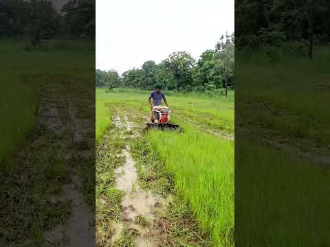 9HP Power Weeder #shorts #shortsviral