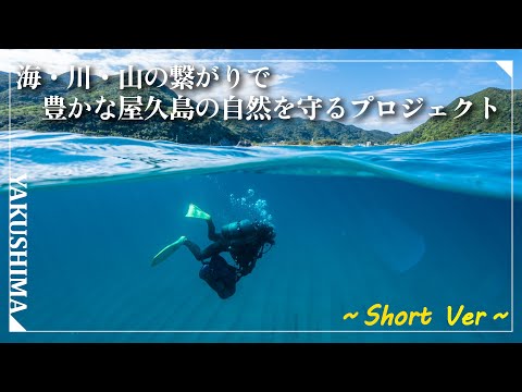 【屋久島町】「海・山・川の繋がりで豊かな屋久島の自然を守るプロジェクト」（shortバージョン）