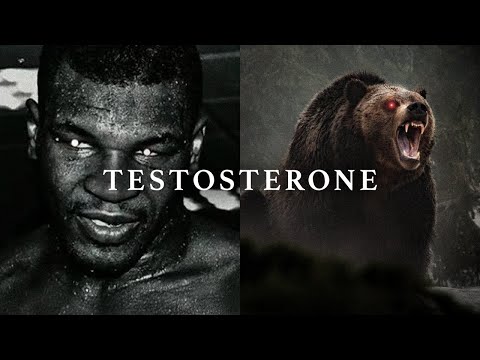 18 Minutes of PURE TESTOSTERONE - The Most Powerful Motivational Speech Compilation 2026