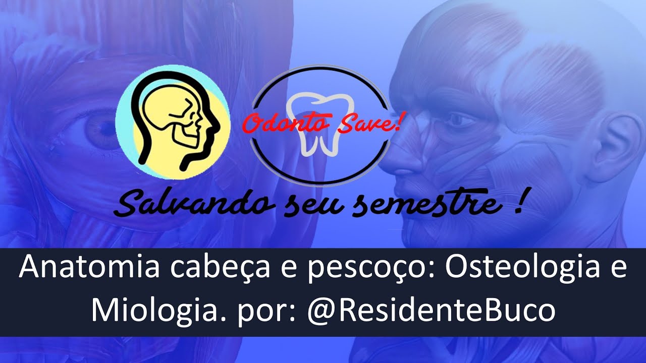 Anatomia cabeça e pescoço: Osteologia e Miologia
