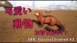 【ゆっくり実況】恐竜と共に生き抜くサバイバル生活 #3【ARK Survival Evolved】